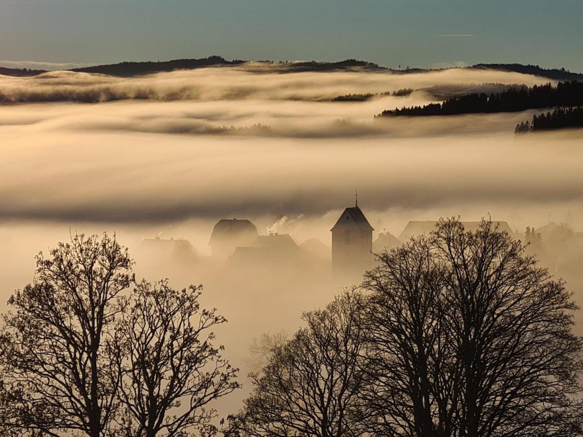 Jufa Hotel Schwarzwald เลนซ์เคียร์ช ภายนอก รูปภาพ